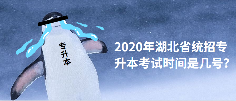 2020年湖北省统招专升本考试时间是几号？