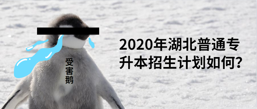 2020年湖北普通专升本招生计划如何？