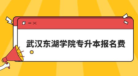 武汉东湖学院专升本报名费